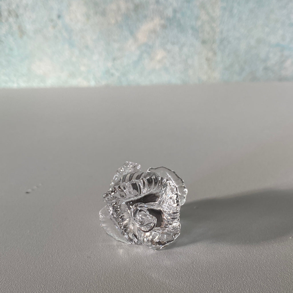 Rose-greb med rustfrit stål i klart glas